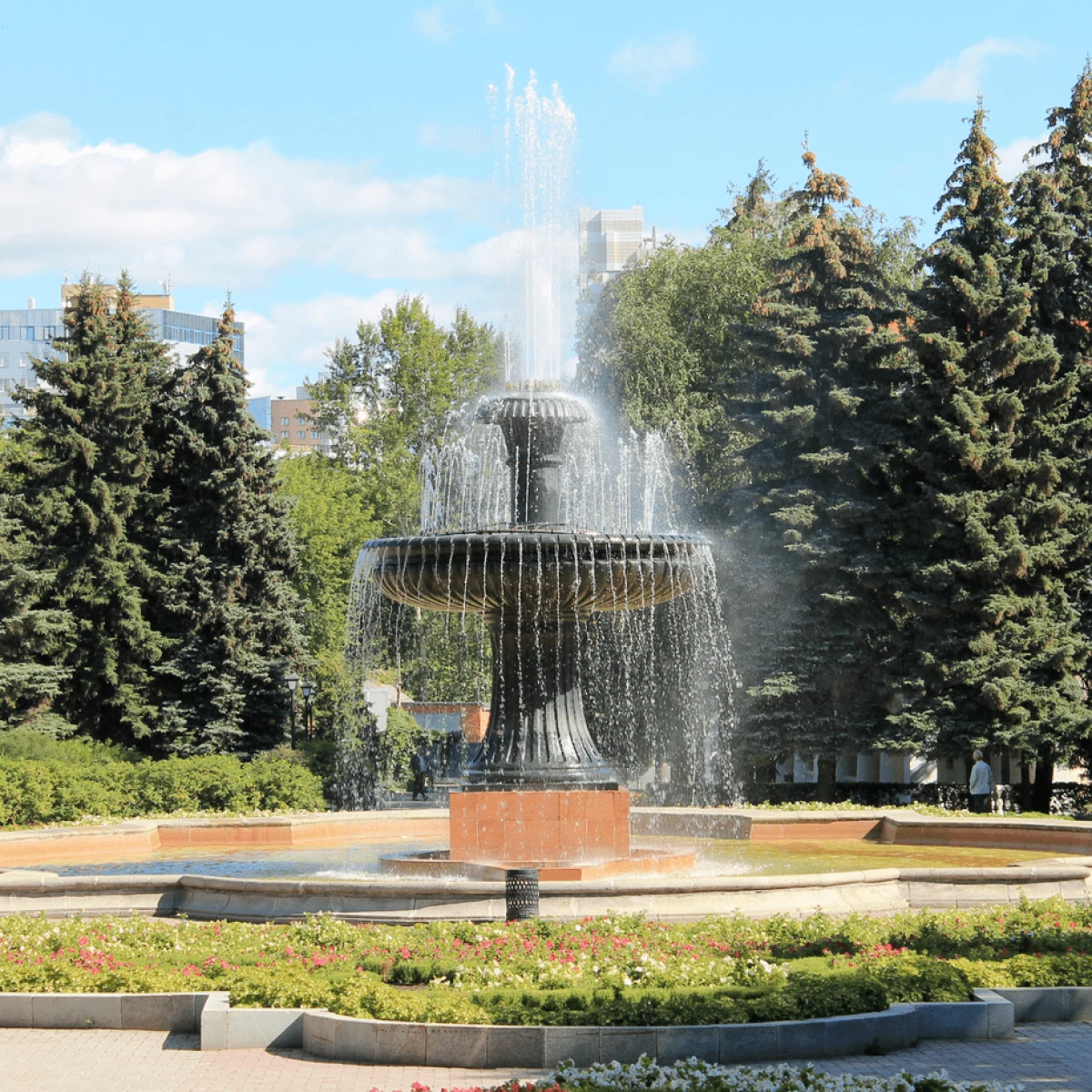 Дендрологический парк-выставка. Фото 1