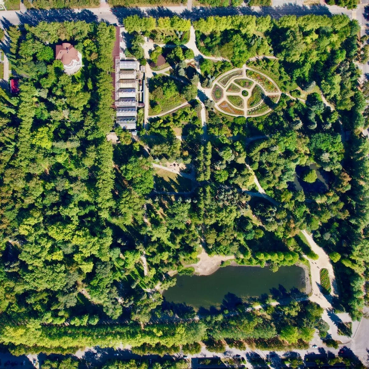 Дендрологический парк-выставка. Фото 4