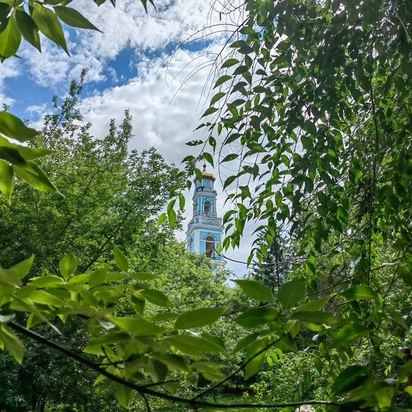 Харитоновский сад. Превью 3